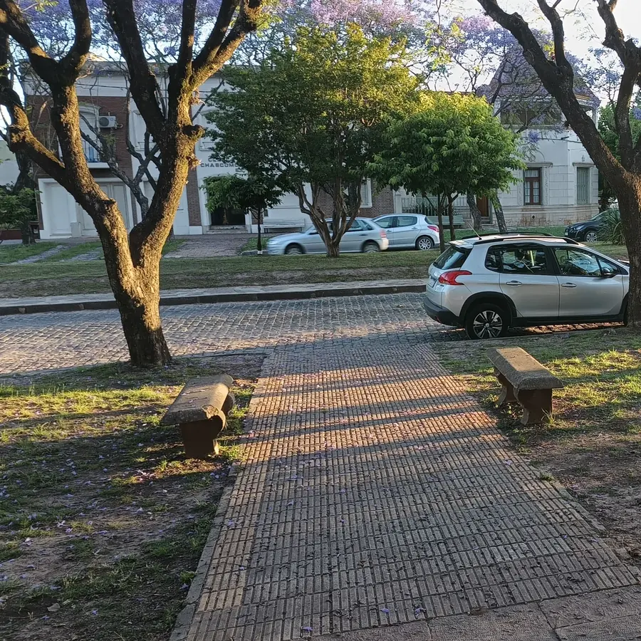La vereda de Av. Lastra con sus jacarandás.